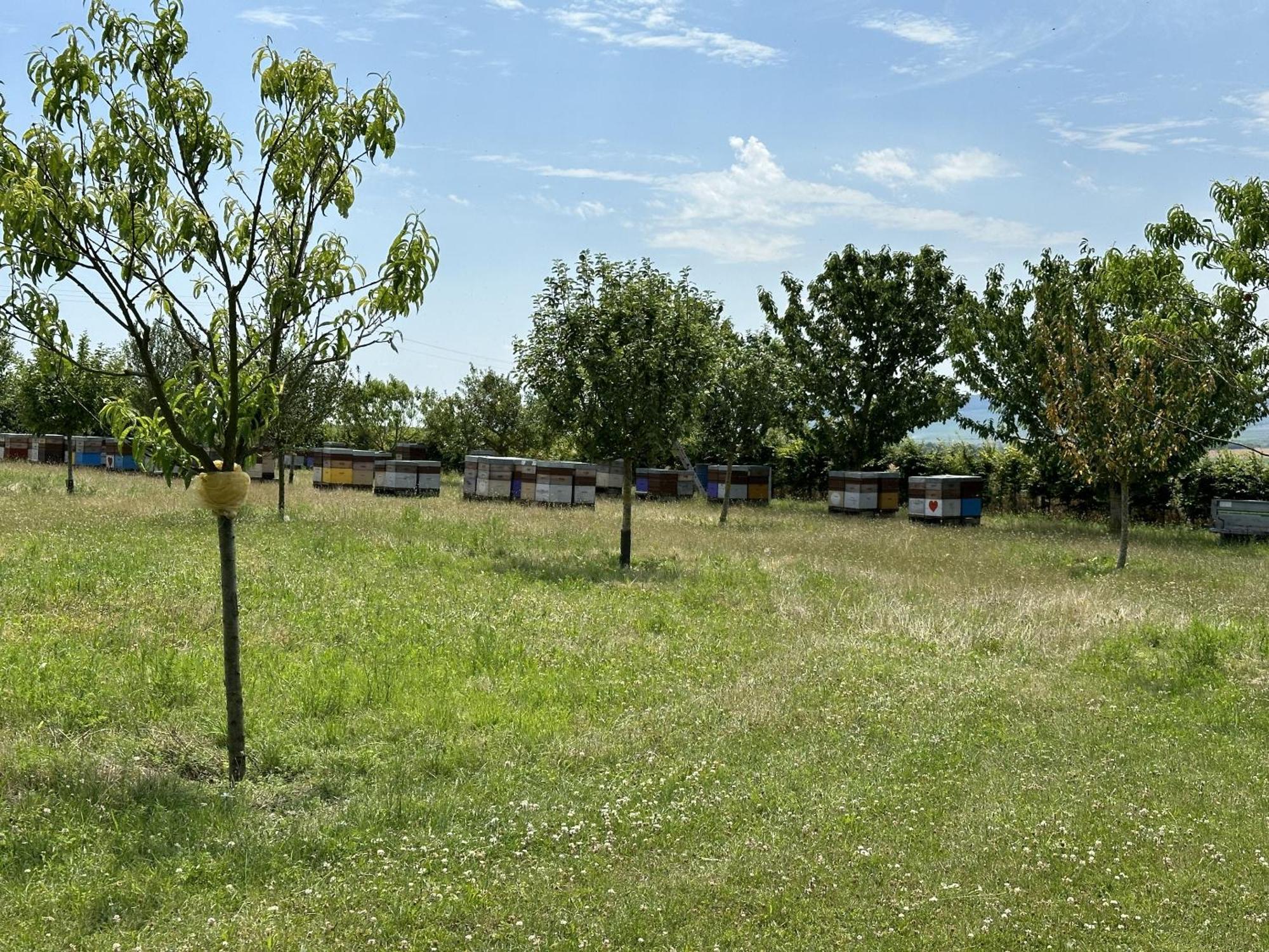 Happy Villa Cernay-les-Reims Exterior foto