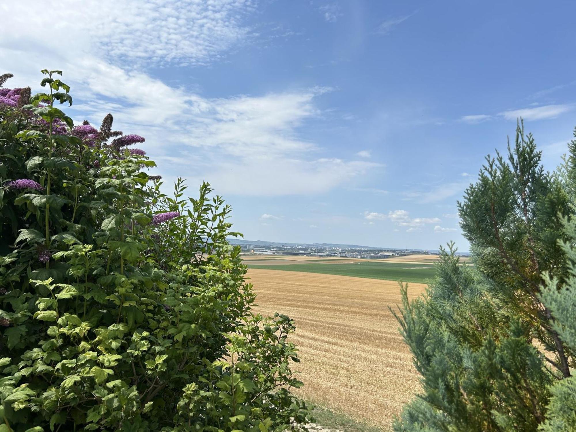 Happy Villa Cernay-les-Reims Exterior foto